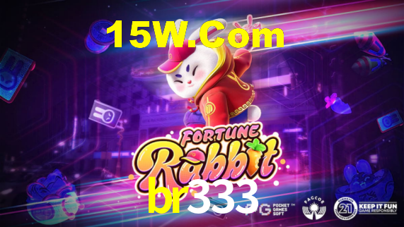 Interface Premium br333