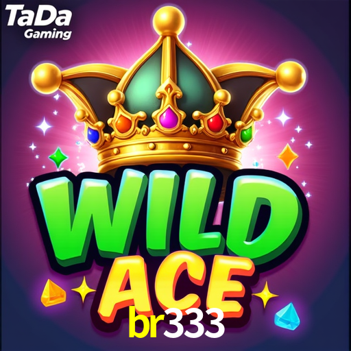 br333.com