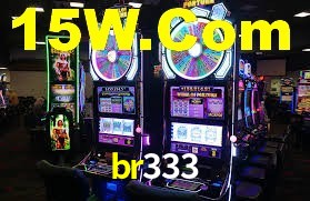 br333