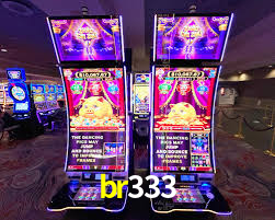 Programa VIP br333