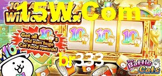 br333 bet