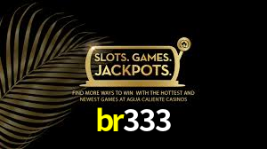 br333.com