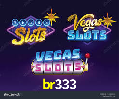 br333
