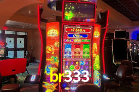 br333.com